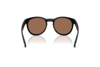 Rear view Arnette AN4371 (290073)