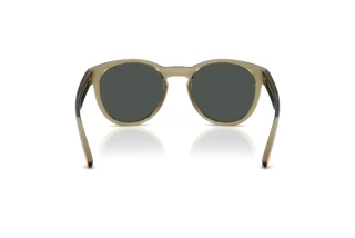 Rear view Arnette AN4371 (303187)