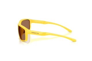 Side view Arnette AN4373 (304273)