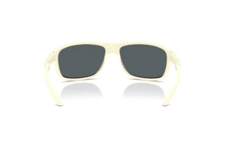 Rear view Arnette AN4374 (302955)