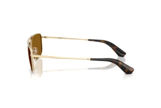 Side view Burberry BE3170 (110983)