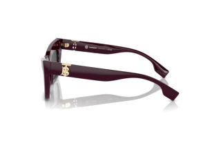 Side view Burberry BE4405 (397987)