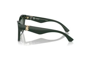 Side view Burberry BE4420U (403871)