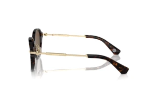 Side view Burberry BE4429D (300273)