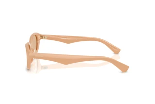 Side view Burberry BE4447D (415073)