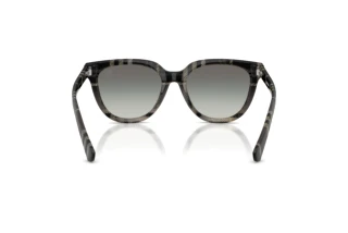 Rear view Burberry BE4469 (420011)