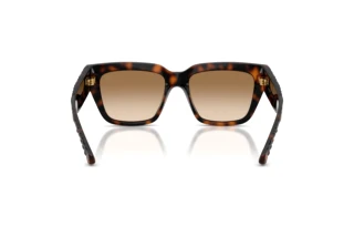 Rear view Burberry BE4506U (300289)