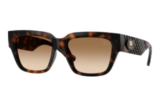 Front view Burberry BE4506U (300289)