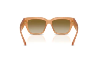 Rear view Burberry BE4506U (426613)