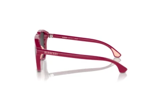Side view Burberry JB4003U (413187)