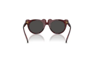 Rear view Burberry JB4355 (411587)