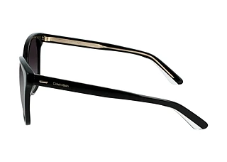 Side view Calvin Klein CK21529S (001)