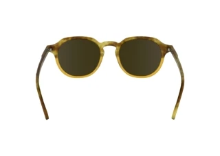 Rear view Calvin Klein CK24538S (255)