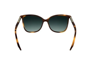 Rear view Calvin Klein CK25504S (240)