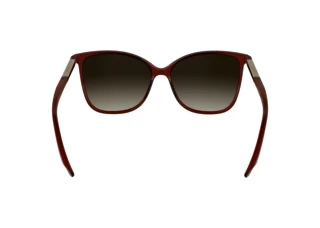 Rear view Calvin Klein CK25504S (605)