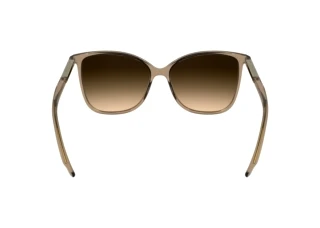 Rear view Calvin Klein CK25504S (618)