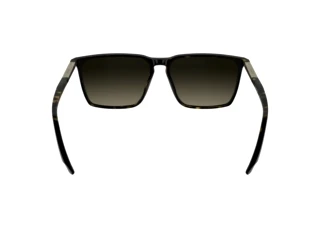 Rear view Calvin Klein CK25505S (240)