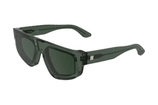 Front view Calvin Klein CK25539S (300)