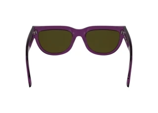 Rear view Calvin Klein CKJ25600S (208)