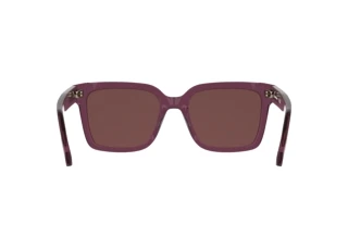 Rear view Calvin Klein CKJ26301S (208)