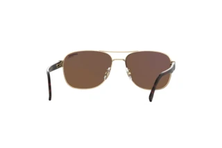 Rear view Carrera C FLEX 02/G/S (J5G/YL)