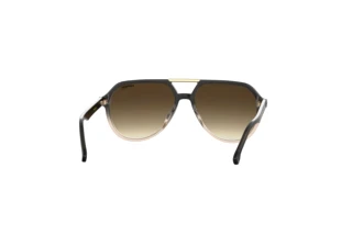 Rear view Carrera CARRERA 315/S (YQL/HA)