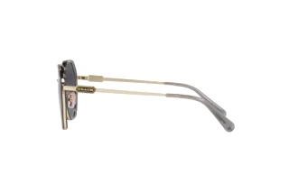 Side view Coach CD477 (HC7141 - 90058G)