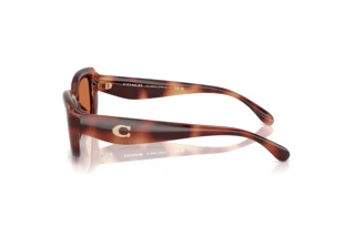 Side view Coach CR610 (HC8390U - 577473)