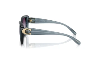 Side view Coach CAD33 (HC8422U - 5871U7)