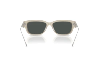 Rear view Diesel DL2002MU (201987)