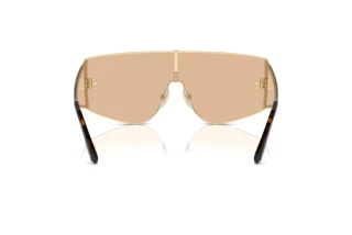 Rear view Dolce & Gabbana DG2305 (13655A)
