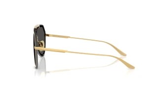 Side view Dolce & Gabbana DG2309 (02/87)