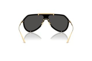 Rear view Dolce & Gabbana DG2309 (02/87)