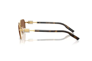 Side view Dolce & Gabbana DG2316 (02/73)