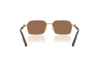 Rear view Dolce & Gabbana DG2316 (02/73)