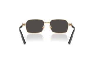 Rear view Dolce & Gabbana DG2316 (02/87)