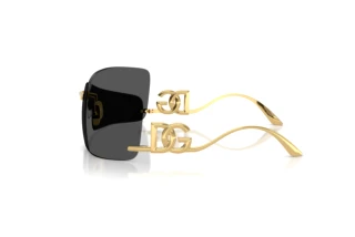 Side view Dolce & Gabbana DG2319 (02/87)