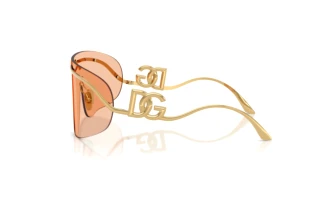 Side view Dolce & Gabbana DG2320 (02/73)