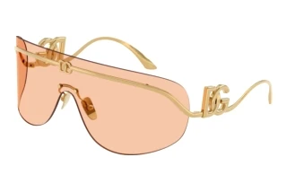 Front view Dolce & Gabbana DG2320 (02/73)