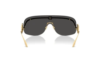 Rear view Dolce & Gabbana DG2320 (02/87)