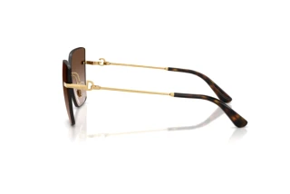 Side view Dolce & Gabbana DG2321 (02/13)