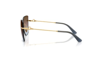 Side view Dolce & Gabbana DG2321 (02/48)
