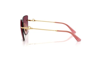Side view Dolce & Gabbana DG2321 (02/8D)
