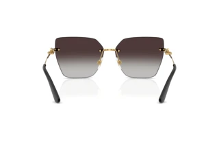 Rear view Dolce & Gabbana DG2321 (02/8G)