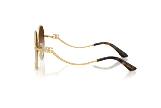 Side view Dolce & Gabbana DG2324 (02/13)