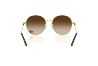 Rear view Dolce & Gabbana DG2324 (02/13)