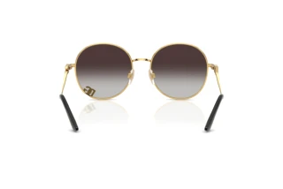 Rear view Dolce & Gabbana DG2324 (02/8G)