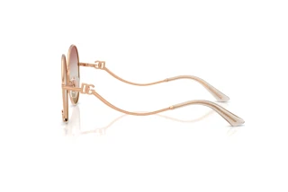 Side view Dolce & Gabbana DG2324 (1298EL)