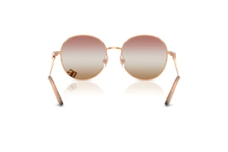 Rear view Dolce & Gabbana DG2324 (1298EL)