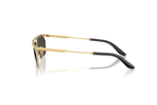Side view Dolce & Gabbana DG2327 (131387)